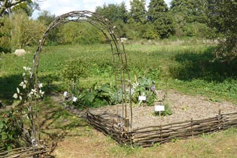 Jardin-medieval-JeP14