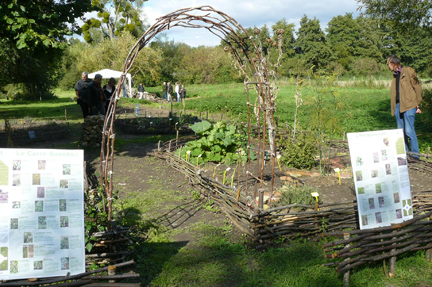 Jardin-potager